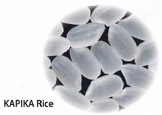 yamamoto kapika rice 21new.jpg - 13246 Bytes